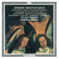 J.S. Bach: Jesu, der du meine Seele, Cantata BWV 78 - 5. Recit.: Die Wunden, Nägel, Kron und Grab - Jan Opalach & The Bach Ensemble & Joshua Rifkin & Johann Sebastian Bach
