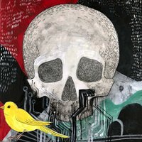 Bad Form - Siren Suit
