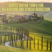Calming Guitar Music - Symphony Orchestra Anti-Stress Sound