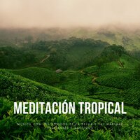 Música Exótica - Musica meditación