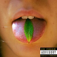 Menta - zzoilo