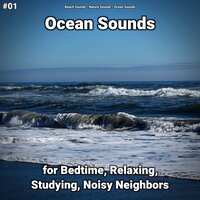Ocean Sounds Pt. 48 - Beach Sounds & Nature Sounds & Ocean Sounds
