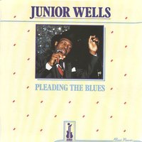 Quit Teasing My Baby - Junior Wells & Buddy Guy Orchestra