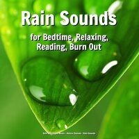 Calm Ambience - Nature Sounds & Rain Sounds & Rain Sounds No Music