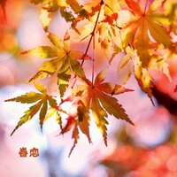 昨夜又东风 - 睡前音乐盒