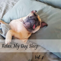 Soothing White Noise Dog Music - Sleeping Music For Dogs & Music for Dog's Ears & Dog Music Experience