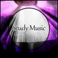 Raise Brain - Calming Sounds Sanctuary