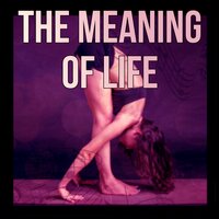 Chakra (Balance of Mind, Body & Soul) - Namaste Healing Yoga