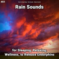 Rain Sound for Tinnitus - Rain for Deep Sleep & Rain Sounds & Nature Sounds