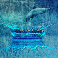 Go Fast Asleep - Dormir