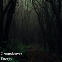 Groundcover Energy - Nature & Rainforest Sounds Collective