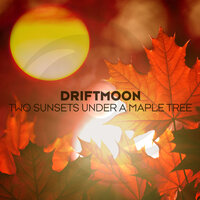 Two Sunsets Under a Maple Tree - Driftmoon