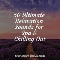Meditation Music - Exam Study Classical Music Orchestra & The Relaxing Sounds of Swedish Nature & The Relaxation Principle