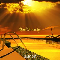Boon a Once Fluid Man - Silver Sun