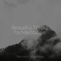 Blessed Dark - The White Noise Zen & Meditation Sound Lab & Meditation & Stress Relief Therapy & Reiki Music