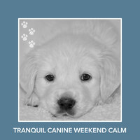 Tranquil Spa - Dog Chill Out Music