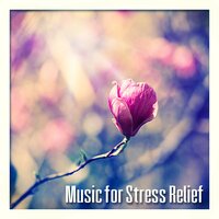 Pure Nature Sounds - Anti Stress Academy