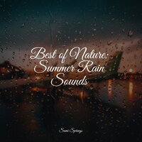 Forest Sounds (Birds) - Relaxing Nature Ambience & White Noise Relaxation & Kinderlieder Megastars
