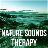 Serenity Music (Flute Melodies) - Serenity Nature Sounds Academy