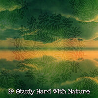 Soothing Serene Soul - Natural Sample Makers
