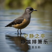 轩敞明亮 - 清音古韵