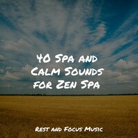 Whimsical Feels - Sleep Meditation Dream Catcher & Sleep Songs 101 & Meditation Music Experience