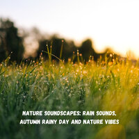 Cold Day - Rain Sounds & Focus & Deep Sleep Music Experience
