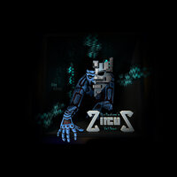 Stop Dancing - Zircus