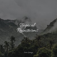 Thunder, Rains - The Rain Library & Rainfall & FX & Effects