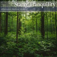 The Sun Has Come Out - Starry Tranquility