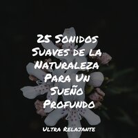 Ojos Renovados - Piano para Relajarse & Lluvia PQ & Sonidos De Truenos y Lluvia