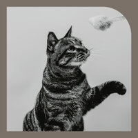 Happening Music for Calming Kitties - Relax My Cat