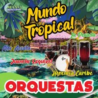 SI ACASO VOLVIERAS - Edmundo Arias
