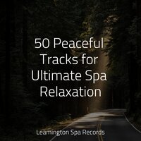 Yoga Relaxation - Spa Music Relaxation & Natureza & Sound Healing Center