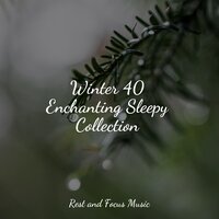 Clear Wandering - White Noise Sleep Sounds & Life Sounds Nature & Meditation Awareness