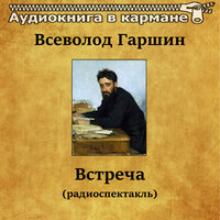 Встреча, Чт. 3 - Аудиокнига в кармане & Вячеслав Шалевич