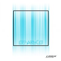 Invalid Memory - Lingk