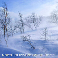 Blizzard Nature Sounds - White Noise Ambience & National Geographic Nature Sounds & North Blizzard White Noise & National Geographic Soundscapes & White Noise Sounds For Sleep & Relaxing Nature Sound