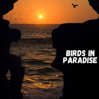 Rain Sound - Beach Raina - Sleep Sounds Of Nature