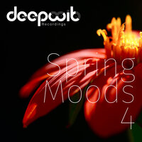 Deep Vibes - Johannes