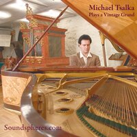Sonata in B Flat Major, D. 960: IV, Allegro, ma non troppo - Michael Tsalka & Франц Шуберт