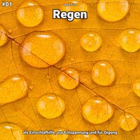 Regen, pt. 1 - Henrik Picot