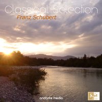 Piano Quintet in A Major, Op. 114, D. 667: III. Scherzo. Presto - Hugo Steurer & Caspar da Salo Quartet & Caspar da Salo Quartett & Франц Шуберт