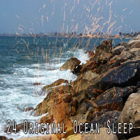 Прогулка по пляжу - Ocean Sounds Collection