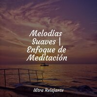 Ensueño - Natureza & Ioga & Canciones Para Niños