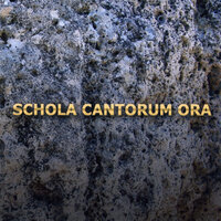 Bellofiore - Schola Cantorum