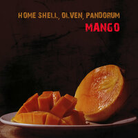 Mango - Home Shell & Olven & Pandorum