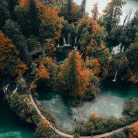Palms in Paradise - The Relaxing Sounds of Swedish Nature & Sleep Makers Samples & Schlaflieder Für Kinder