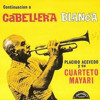 No Me Importa Lo Que Digan - Cuarteto Mayari & Trio Los Condes & Trío Vegabajeño