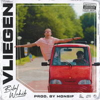 Vliegen - Bilal Wahib